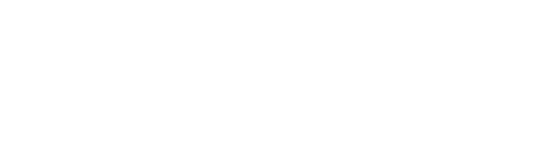 Leicestershire_County_Council-white