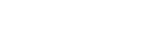 Belfast City Council 2015