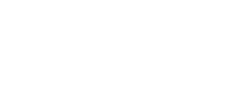 South Dublin County Council